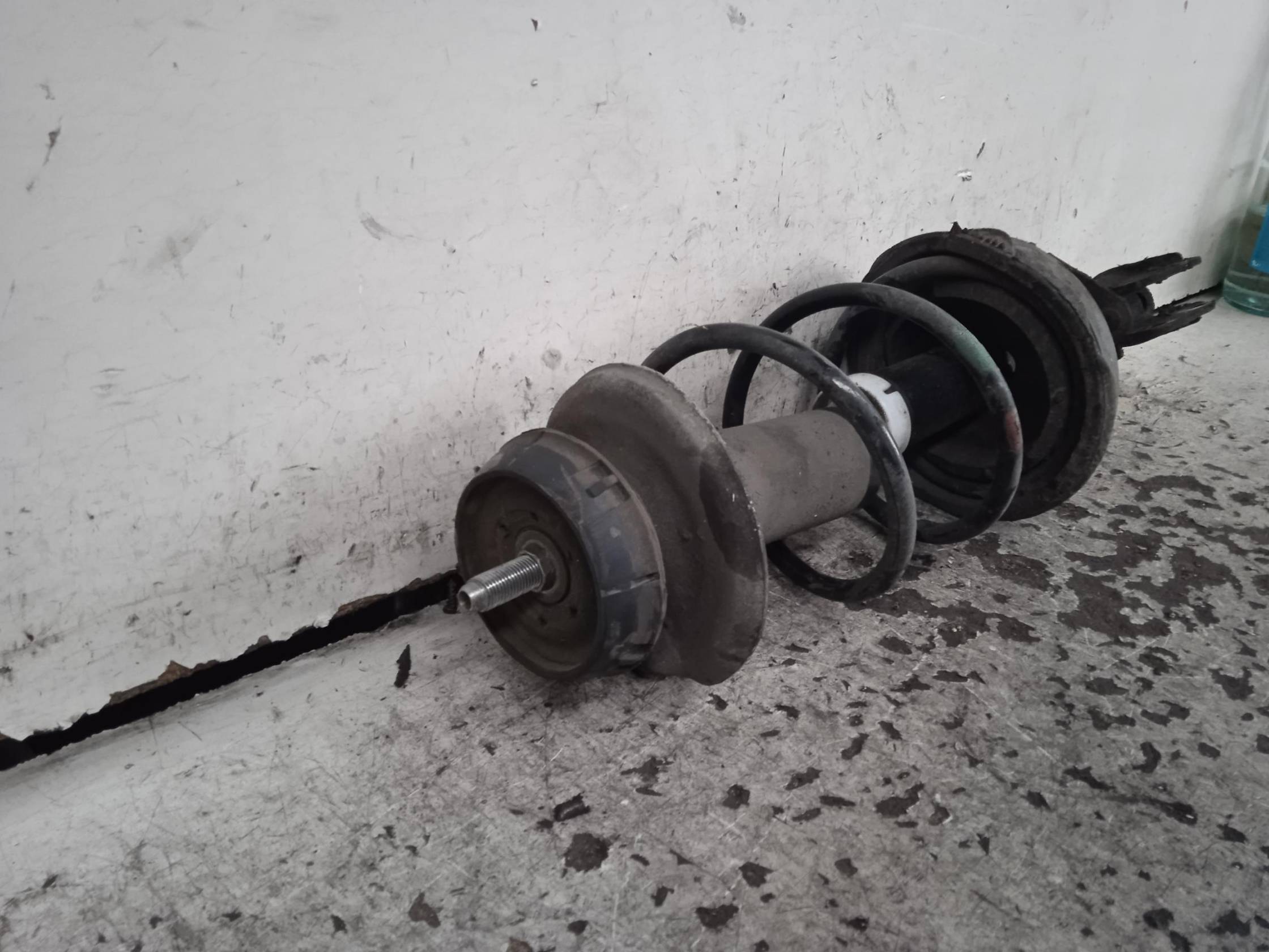 Ammortizzatore ant. sx.